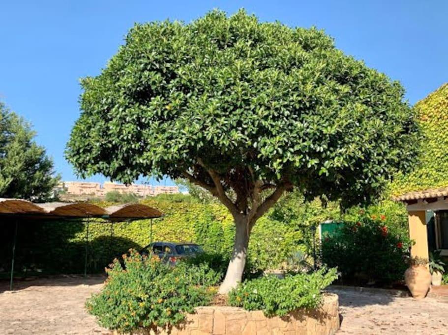 شقة Casa Magnolia أوغوستا المظهر الخارجي الصورة