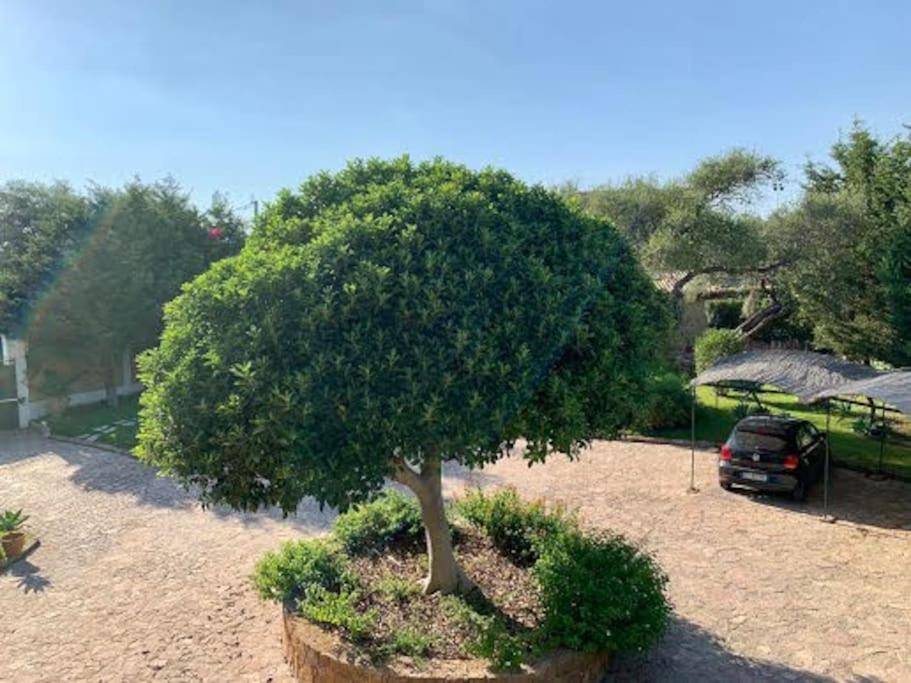 شقة Casa Magnolia أوغوستا المظهر الخارجي الصورة