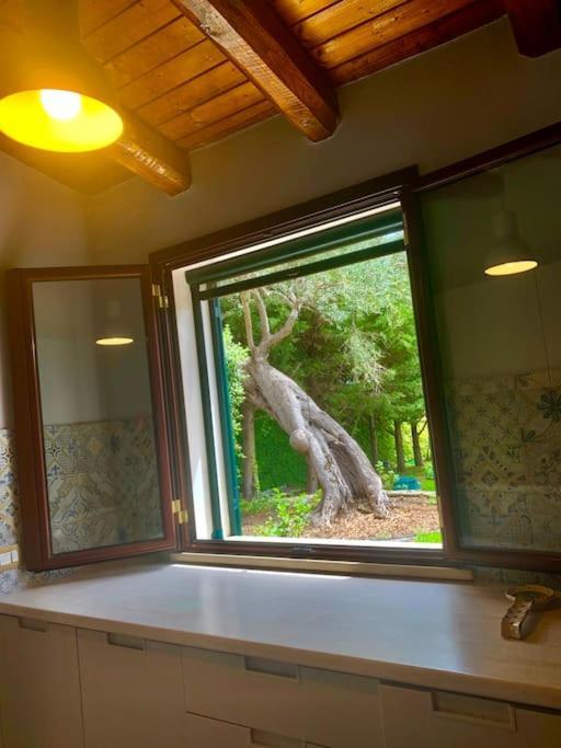 شقة Casa Magnolia أوغوستا المظهر الخارجي الصورة